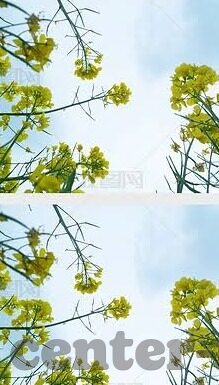 伦理片迅雷-伦理片，在迅雷下载中的深思与探讨