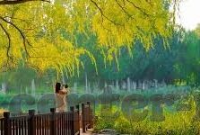 麻豆传媒网址-麻豆传媒，专注内容创新，引领行业新风尚