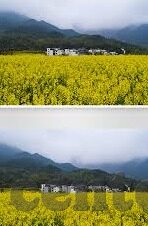 糖心vlog糖心官网-糖心Vlog，打造独一无二的个性化记录